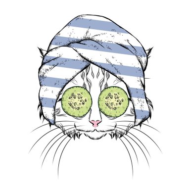 Bir kedi bir havlu ve salatalık onun yüzünde. Vektör çizim. Güzellik ve spa bakımları. Moda ve stil. Komik kedi yavrusu.
