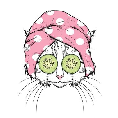 Bir kedi bir havlu ve salatalık onun yüzünde. Vektör çizim. Güzellik ve spa bakımları. Moda ve stil. Komik kedi yavrusu.