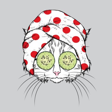 Bir kedi bir havlu ve salatalık onun yüzünde. Vektör çizim. Güzellik ve spa bakımları. Moda ve stil. Komik kedi yavrusu.