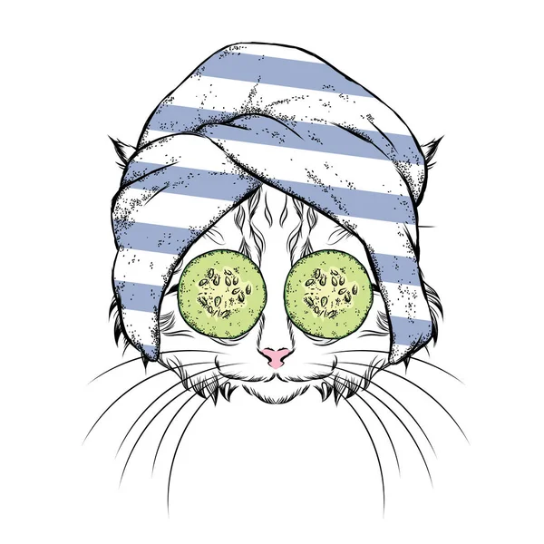 Een kat in een handdoek en met komkommer op zijn gezicht. Vectorillustratie. Schoonheid en wellness-behandelingen. Fashion & stijl. Grappig katje. — Stockvector