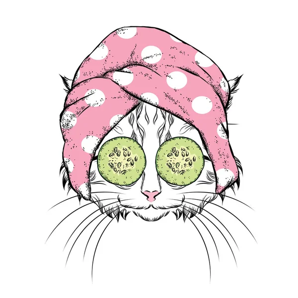 Een kat in een handdoek en met komkommer op zijn gezicht. Vectorillustratie. Schoonheid en wellness-behandelingen. Fashion & stijl. Grappig katje. — Stockvector