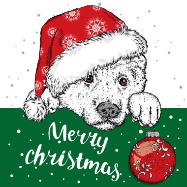 Bir Noel şapka ve bir Noel top güzel bir köpek. Vektör çizim için bir kartpostal veya bir poster. Safkan köpek yavrusu. Çoban köpeği veya Alabai. Yeni yıl.