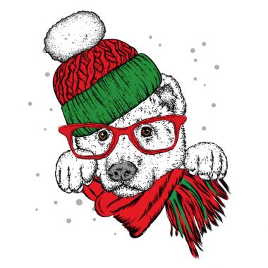 Atkı ve şapka güzel bir köpek. Vektör çizim için bir kartpostal veya bir poster. Safkan köpek yavrusu. Çoban köpeği veya Alabai. Yeni yıl.