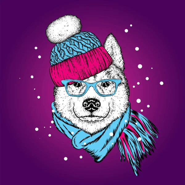 Un perro hermoso en un sombrero de invierno, gafas y una bufanda. Ilustración vectorial. Cachorro de pura raza en ropa y accesorios. Husky o lobo. Año Nuevo y Navidad . — Archivo Imágenes Vectoriales