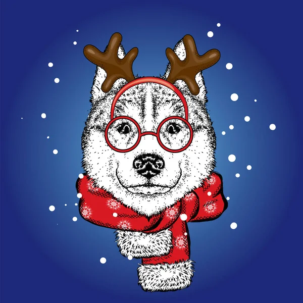 Bir geyik takım elbise ve eşarp güzel bir köpek. Boynuz. Vektör çizim. Safkan köpek giysi ve aksesuarlar. Husky ya da kurt. Yeni yıl ve Noel. — Stok Vektör