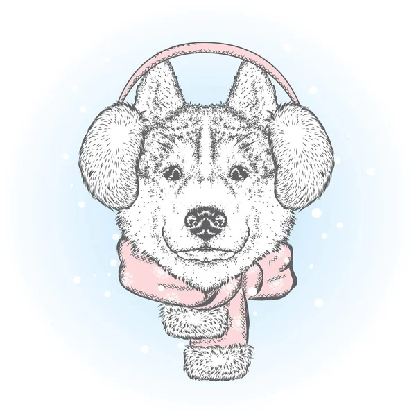 Schöner Hund mit Winterkopfhörer und Schal. Vektorillustration. reinrassige Welpen in Kleidung und Accessoires. Husky oder Wolf. Neujahr und Weihnachten. — Stockvektor