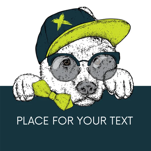 Красивая собака в кепке, очках и галстуке. Векторная иллюстрация для открытки или плаката, печать одежды. Чистый щенок. Алабай или пастух . — стоковый вектор