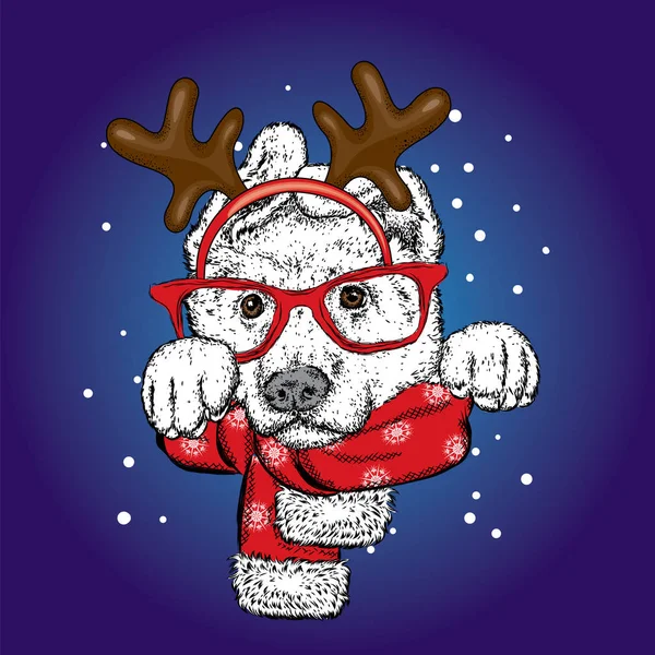 Güzel bir köpek bir eşarp ve geyik boynuzları. Geyik kostüm. Vektör çizim için bir kartpostal veya bir poster. Safkan köpek yavrusu. Çoban köpeği veya Alabai. Yeni yıl. — Stok Vektör