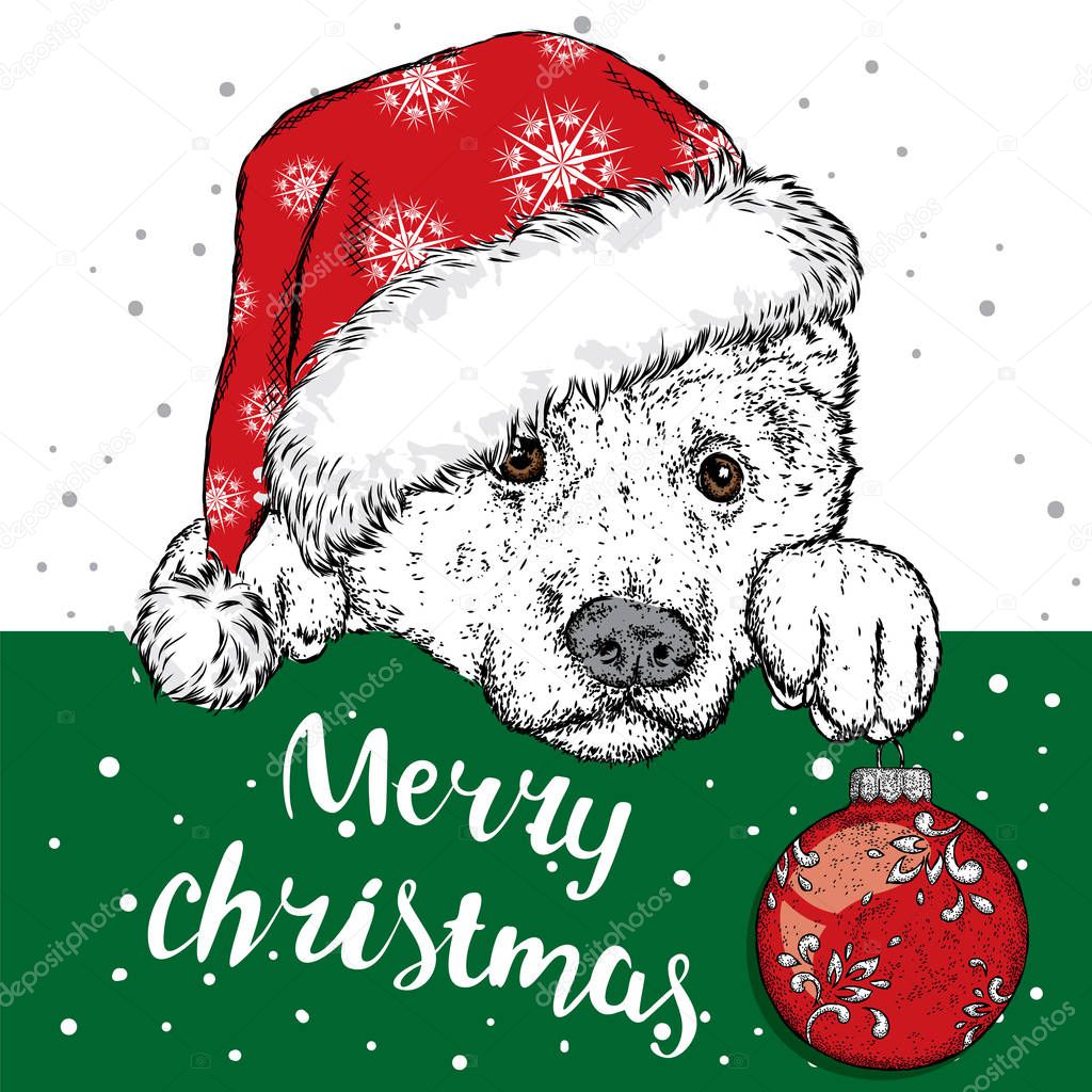 A beautiful dog in a Christmas hat and a Christmas ball. Vector illustration for a postcard or a poster. Purebred puppy. Sheepdog or Alabai. New Year.