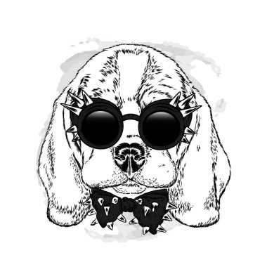 Gözlük ve papyon ile güzel bir köpek. Vektör çizim. Safkan köpek giysi ve aksesuarlar. Beagle veya Spaniel.