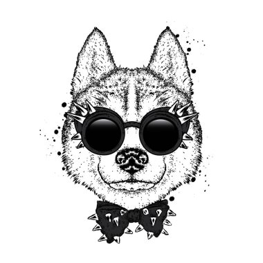 Gözlük ve papyon ile güzel bir köpek. Vektör çizim. Safkan köpek giysi ve aksesuarlar. Husky.