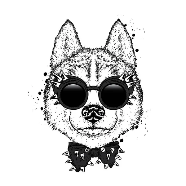 Een mooie hond met bril en een strikje. Vectorillustratie. Rasechte puppy in kleding en accessoires. Husky. — Stockvector