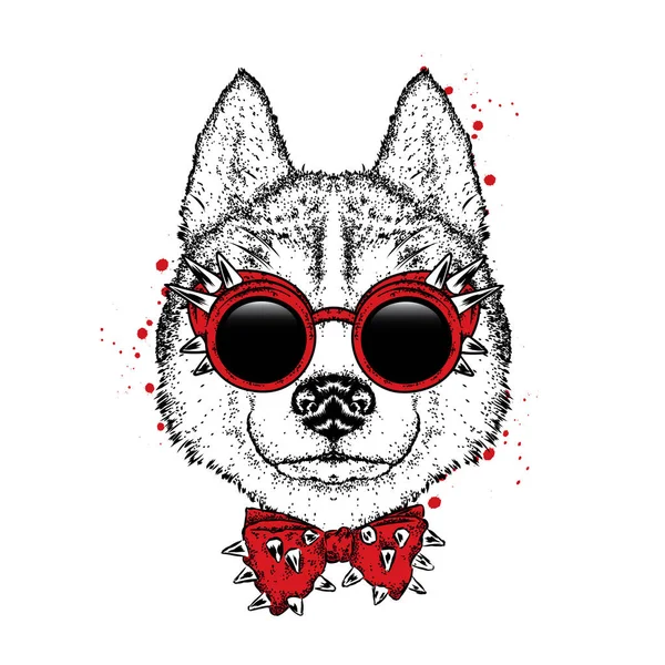 En vacker hund med glasögon och en fluga. Vektorillustration. Renrasiga valp i kläder och accessoarer. Husky. — Stock vektor