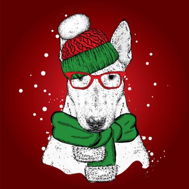 Güzel bir boğa korkunç bir şapka ve bir kış eşarp. Yeni yıl ve Noel. Safkan köpek.