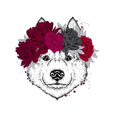 Bir çelenk, gül ve peonies güzel bir köpek. Çiçek çelenk içinde safkan köpek yavrusu. Husky. Vektör çizim için bir kartpostal veya poster, elbise veya bir kapak yazdırma.