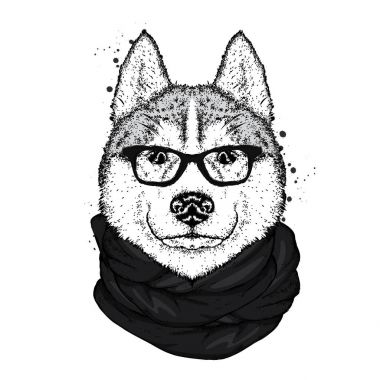 Husky şık bir şapka, eşarp ve gözlük. Bir safkan köpek giysi ve aksesuarları. Moda ve stil. Vektör çizim.