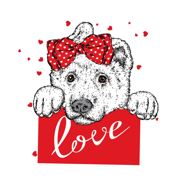 Симпатичная собака с сердцами, очками и галстуком. Векторная иллюстрация для открытки или плаката, печать одежды. День Святого Валентина, любовь и дружба. Чистый щенок в одежде и аксессуарах
.