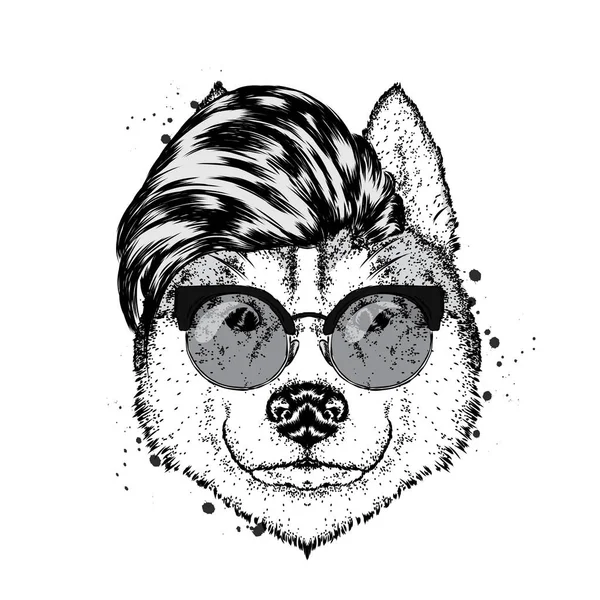 Piękny Pies Rasowy Fryzura Stylowa Hipster Ilustracja Wektorowa Pocztówka Lub — Wektor stockowy