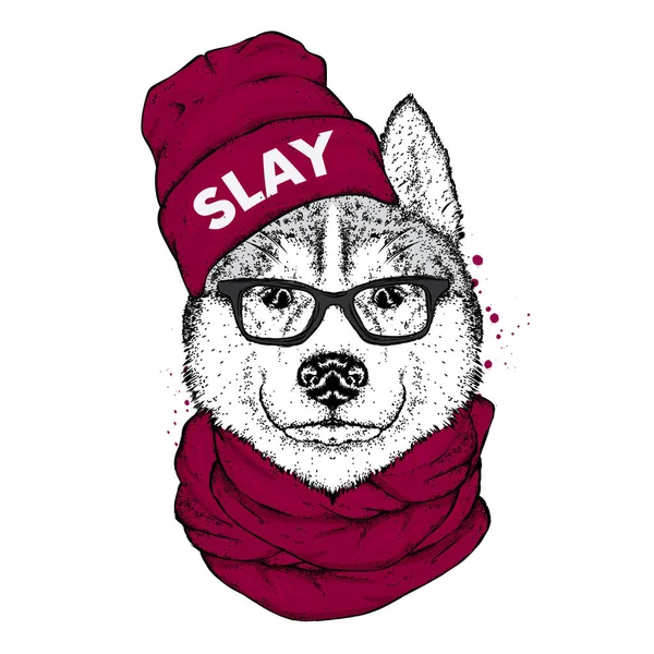 Husky Mit Stylischem Hut Schal Und Brille Ein Stammhund Kleidung — Stockvektor