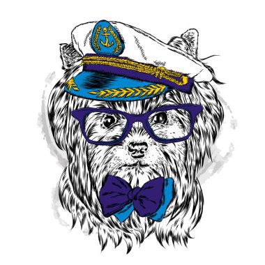 Komik köpek kap ve gözlük. Denizci. Vektör çizim için tebrik kartı, poster ya da baskı dökmeyin. Komik köpek.