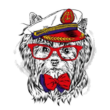 Komik köpek kap ve gözlük. Denizci. Vektör çizim için tebrik kartı, poster ya da baskı dökmeyin. Komik köpek.