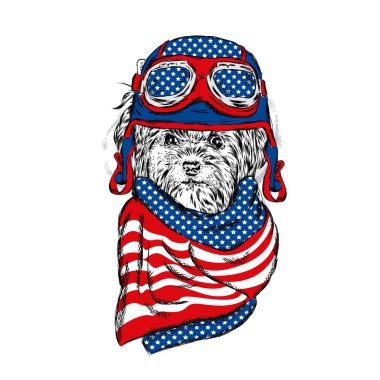 Yorkshire korkunç bir miğfer.