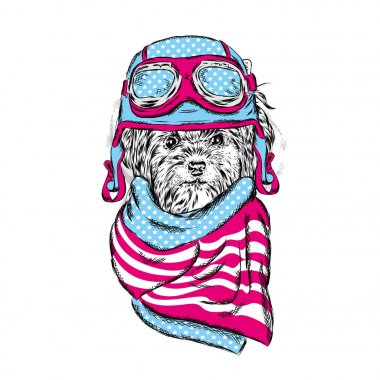 Yorkshire korkunç bir miğfer.