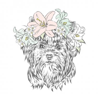 Şirin köpek yavrusu vektör. Çiçek çelenk York'ta .