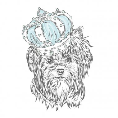 Taç York'ta. Köpek. Vektör çizim. Kral.