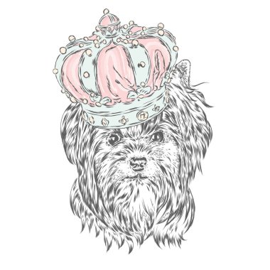 Taç York'ta. Köpek. Vektör çizim. Kral.