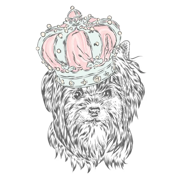 York Der Krone Hund Vektorillustration König — Stockvektor