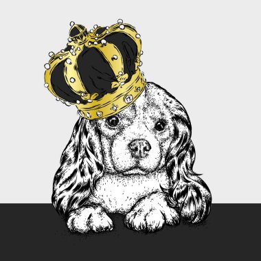 Taç güzel köpek. Şirin İspanyol. Safkan köpek yavrusu. Vektör çizim bir kartpostal veya poster, giysi ve aksesuarları için yazdırma için. Bir prenses.