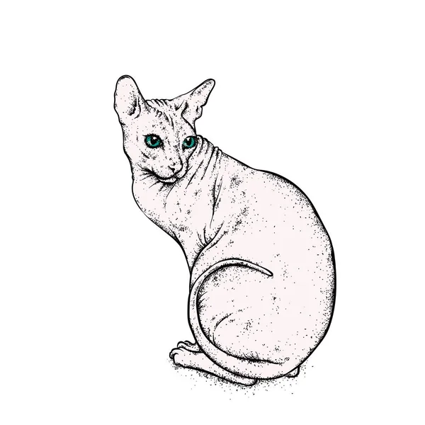 Sphynx Kedi Desenleri Vücut Sanatı Ile Boyalı Vektör Çizim — Stok Vektör