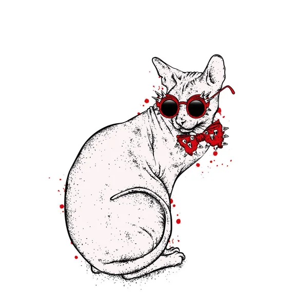 대머리 고양이 안경와 가시와 넥타이 Sphynx 고양이입니다 엽서나 포스터 인쇄에 — 스톡 벡터