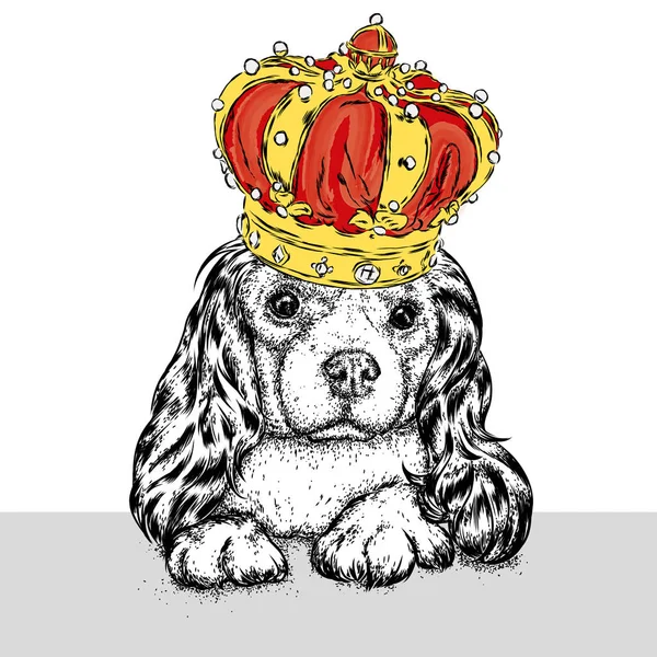 Piękny Pies Koronie Śliczne Spaniele Rasowe Szczenię Ilustracja Wektorowa Pocztówka — Wektor stockowy