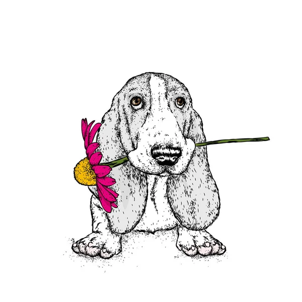 Beau Chien Avec Une Gerbera Illustration Vectorielle Chiot Drôle Avec — Image vectorielle