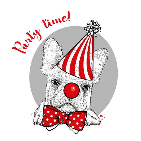 Zabawny Pies Kaptur Clown Krawat Nos Klauna Ilustracja Wektorowa Cyrk — Wektor stockowy