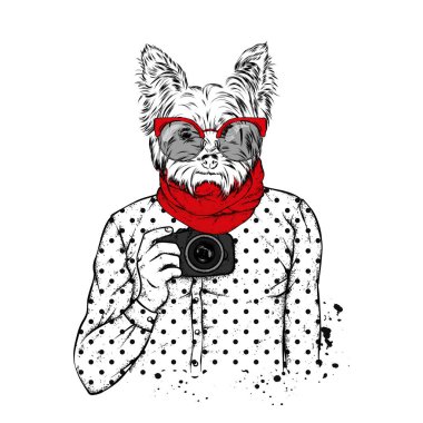 Hipster köpek ile insan vücudu ve fotoğraf makinesi. Hayvan giysili. Vektör çizim.