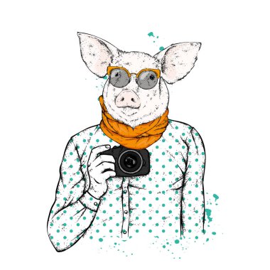 Yeniyetme domuz insan vücudu ve kamera ile. Hayvan giysili. Vektör çizim.