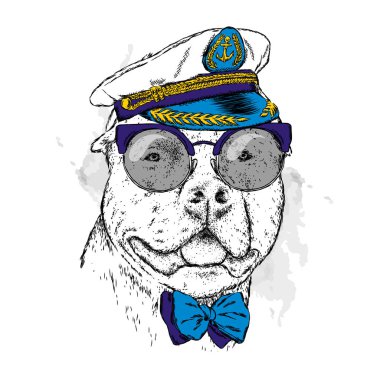 Gözlük, bir kravat ve bir kap soyu bir köpek. Pitbull. Vektör çizim. Kaptan, denizci.