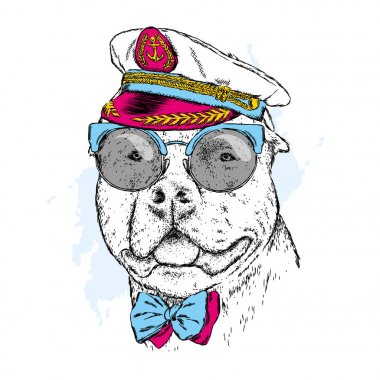 Gözlük, bir kravat ve bir kap soyu bir köpek. Pitbull. Vektör çizim. Kaptan, denizci.
