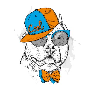 Gözlük ve bir kap soyu bir köpek. Pitbull. Vektör çizim.