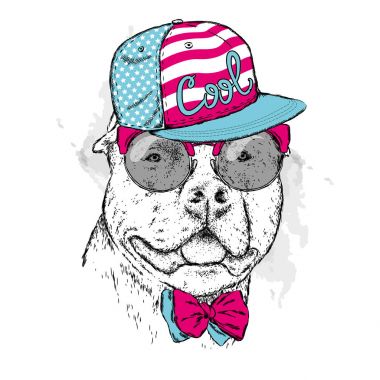 Gözlük ve bir kap soyu bir köpek. Pitbull. Vektör çizim.