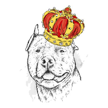Taç soyu bir köpek. Pitbull. Vektör çizim.