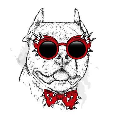 Gözlük ve bir kravat soyu bir köpek. Pitbull. Vektör çizim.