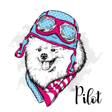 Bir kask ve eşarp soyu bir köpek. Motorcu. Spitz pomeranian vektörde boyalı.