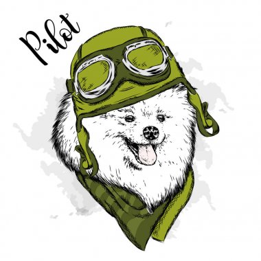 Bir kask ve eşarp soyu bir köpek. Motorcu. Spitz pomeranian vektörde boyalı.