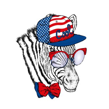 Bir zebra bir şapka, gözlük ve bir kravat. Vektör çizim.