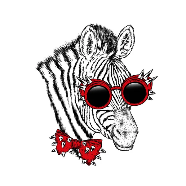 Una Zebra Con Occhiali Cravatta Illustrazione Vettoriale — Vettoriale Stock