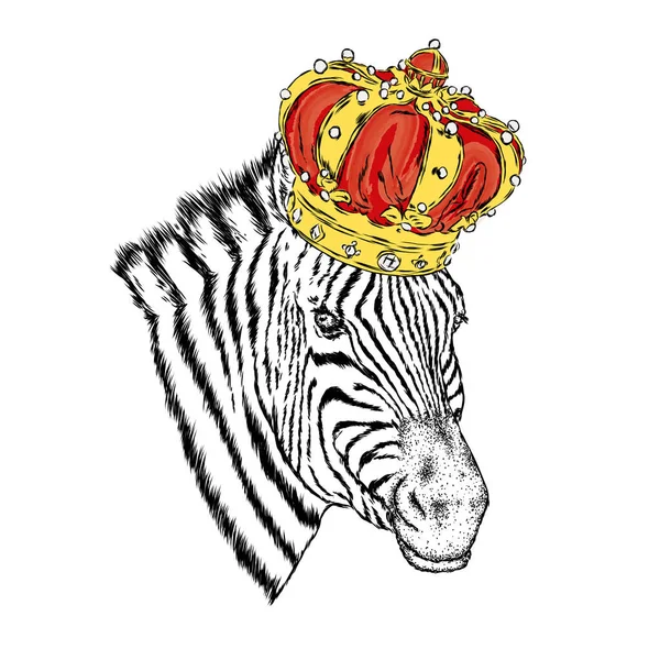 皇冠上的斑马 矢量插图 — 图库矢量图片